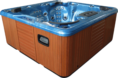 jacuzzi hot tub model vectra ii manual