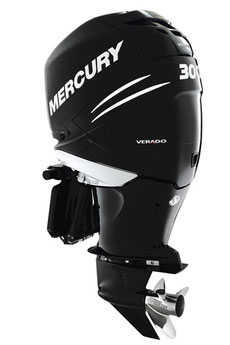 mercury 40 hp outboard owners manual pdf